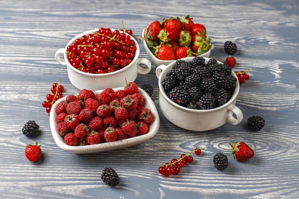 12 aliments qui nettoient les reins