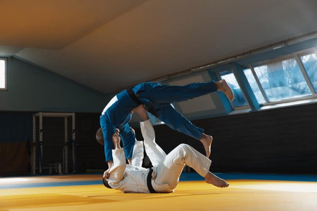 prise de judo
