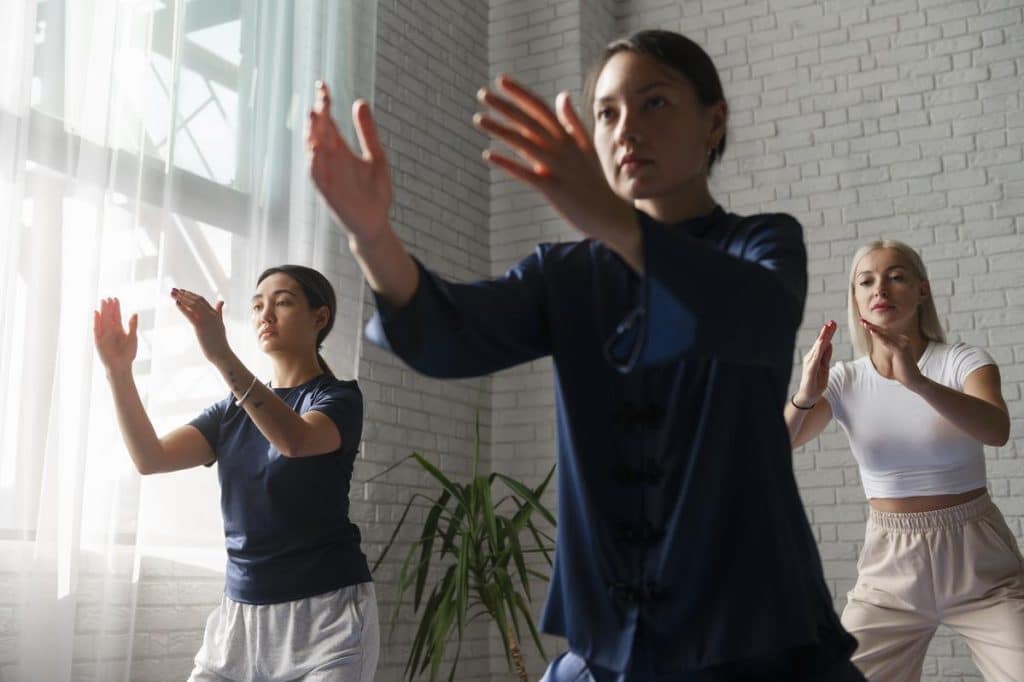 tai chi style chen