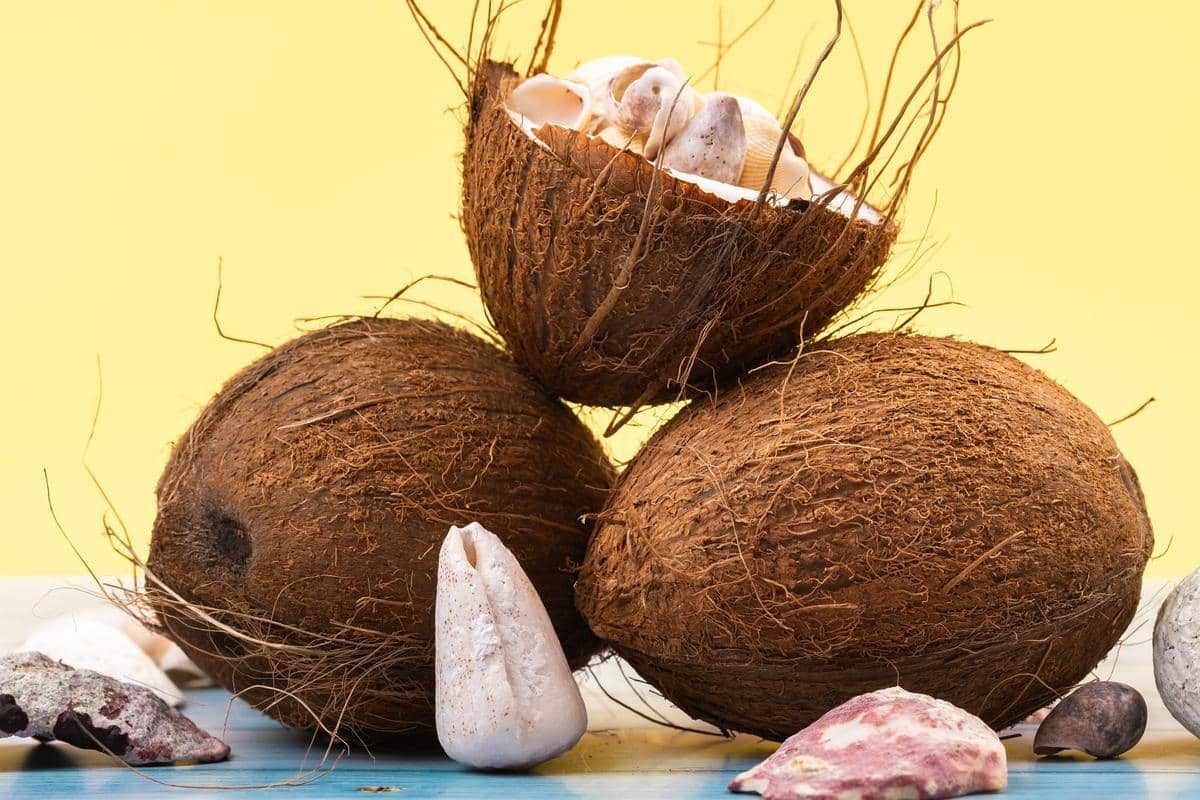 noix de coco effets secondaires